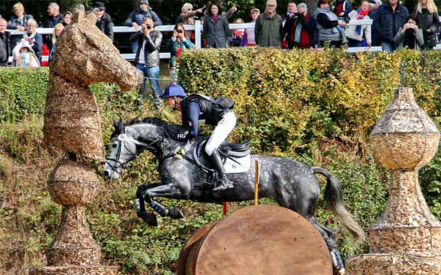 Le Lion d’Angers, une terre de chevaux et d'équitation