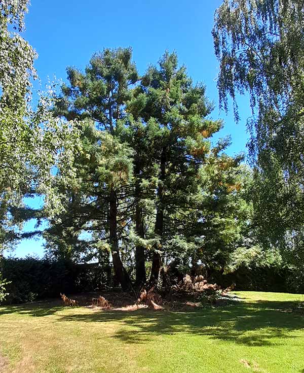 Le parc entourant le domaine de Vaufleury est magnifique