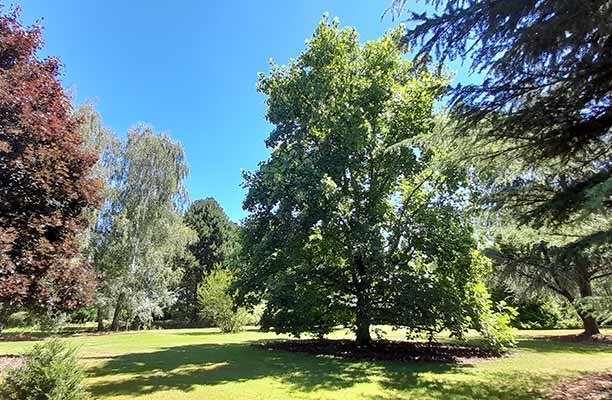 Sompteux parc pour vous reposer